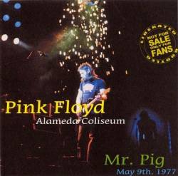 Pink Floyd : Mr. Pig